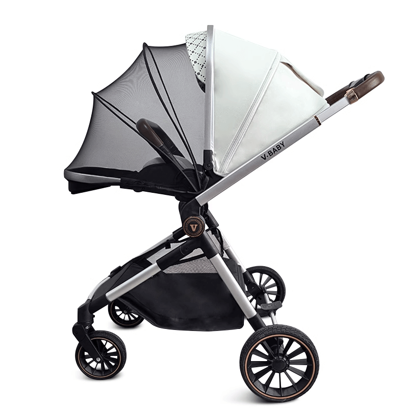 Why Choose Baby Strollers?